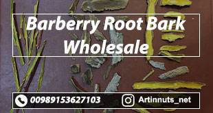 Barberry Root Bark