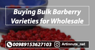 Buying Bulk Barberry