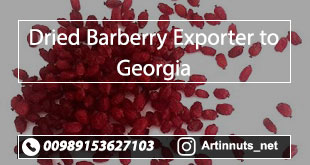 Dried Barberry Exporter