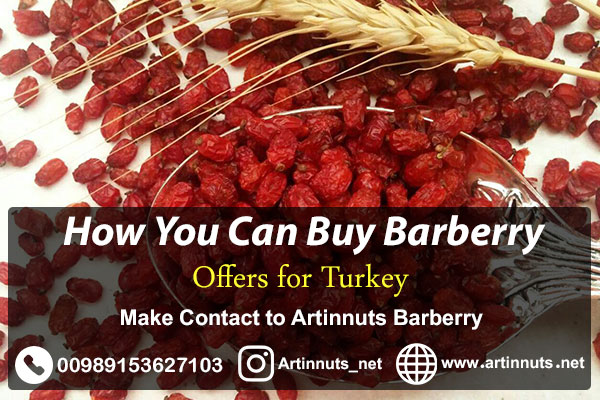 Barberry Exporter to Turkey