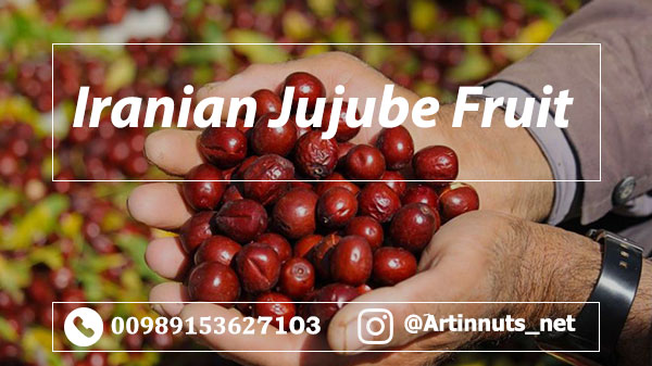 Iranian Jujube Fruit