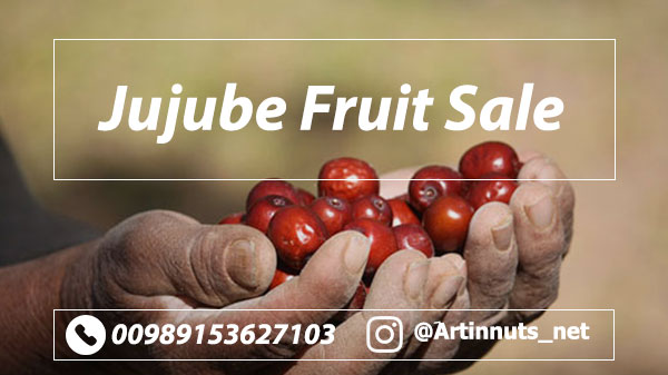 Jujube Fruit Sale