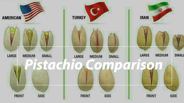Pistachio Comparison