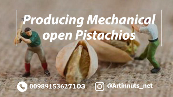 Mechanical Open Pistachios