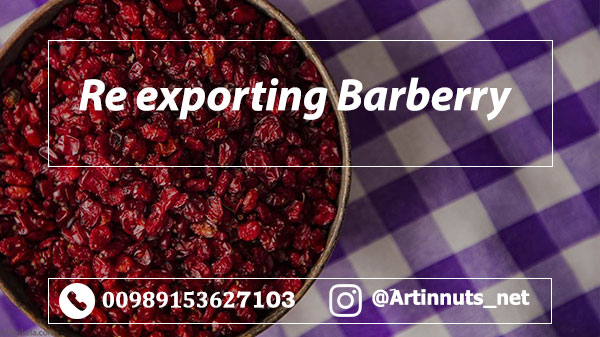 Iranian Barberry Exporter