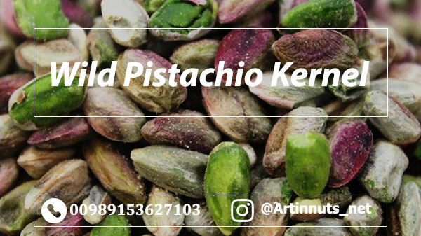 Wild Pistachio Kernel
