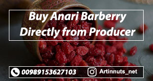 Buy Anari Barberry