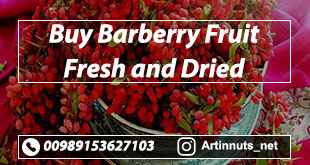 Barberry Fruit