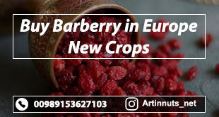 Buy Barberry in Europe