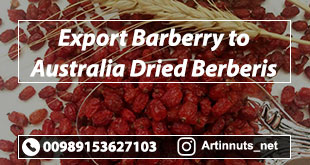 Export Barberry to Australia