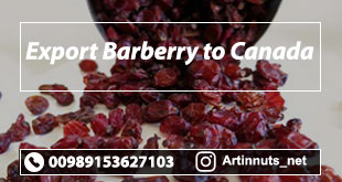 Export Barberry to Canada