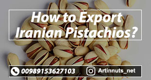 Export Iranian Pistachios
