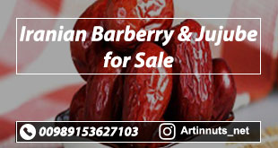 Iranian Barberry Jujube