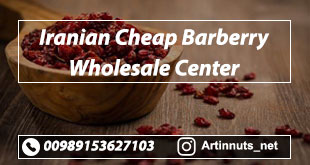 Cheap Barberry