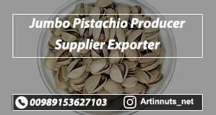Jumbo Pistachio Producer