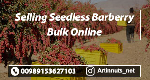 Selling Seedless Barberry