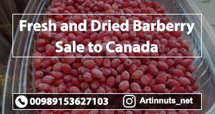 Barberry Sale to Canada