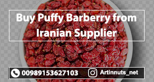 Buy Puffy Barberry