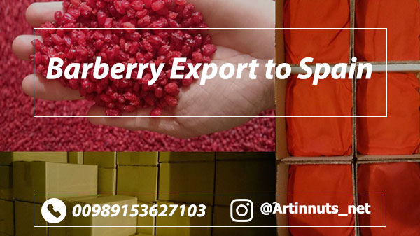 Barberry Exports to Spain