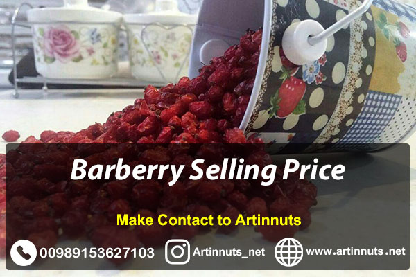 Barberry Selling Price