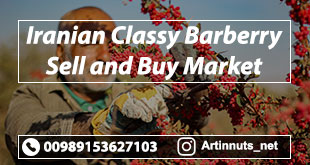 Iranian Classy Barberry
