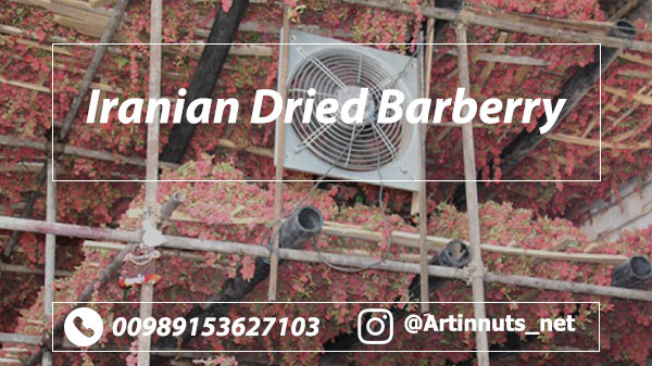 Dried Barberry