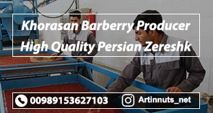 Khorasan Barberry Producer
