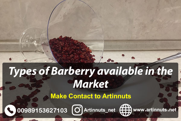 Types of Barberry