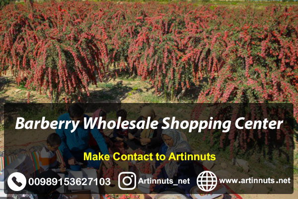 Barberry Wholesale Shopping