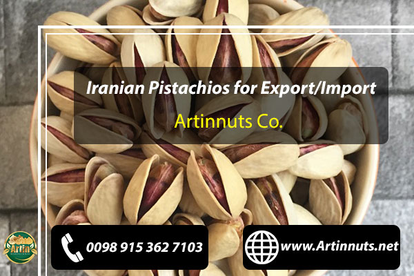 Pistachio Nuts Exporter