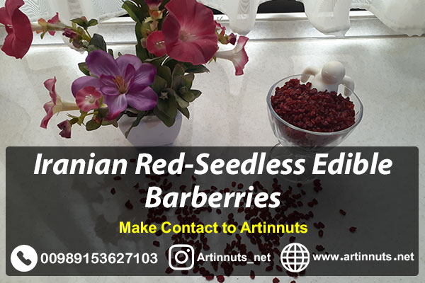 Red-Seedless Edible Barberries