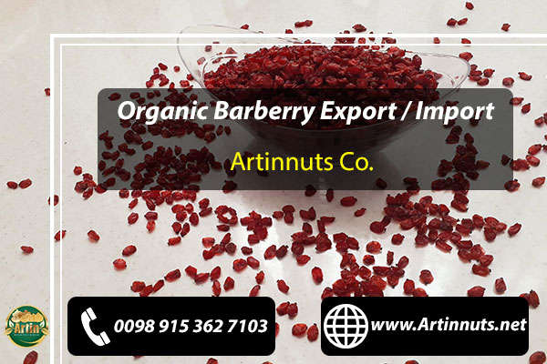 Organic Barberry Wholesale