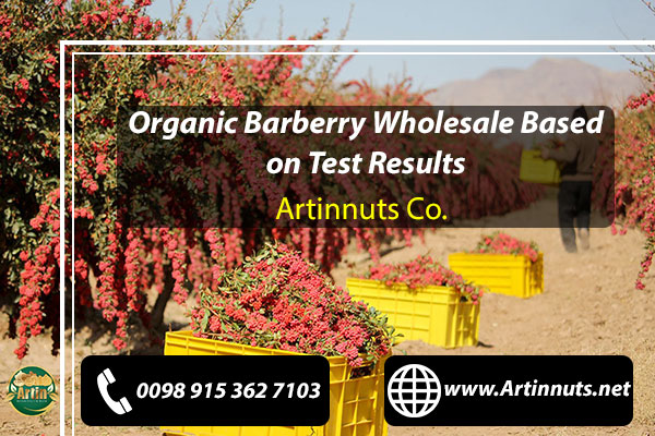 Organic Barberry Wholesale