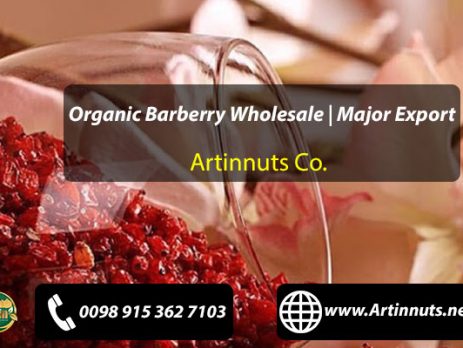 Organic Barberry Wholesale