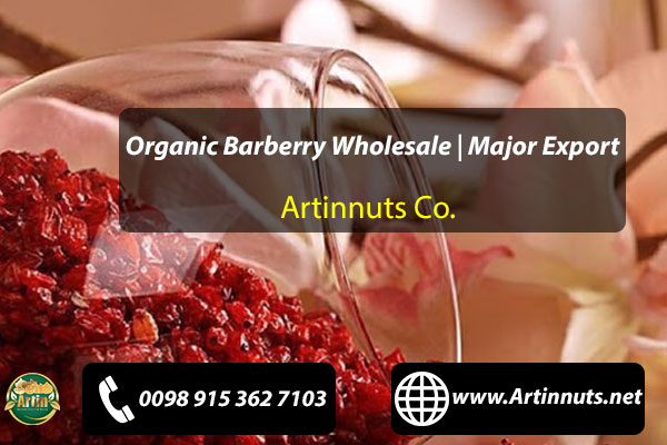 Organic Barberry Wholesale