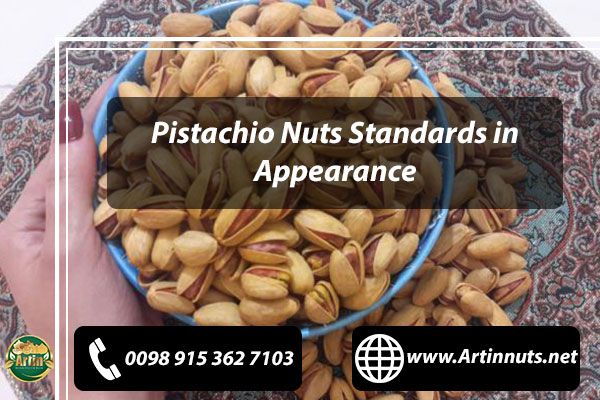 Pistachio Nuts Exporter