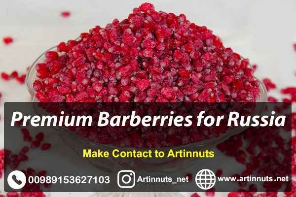 Premium Barberries