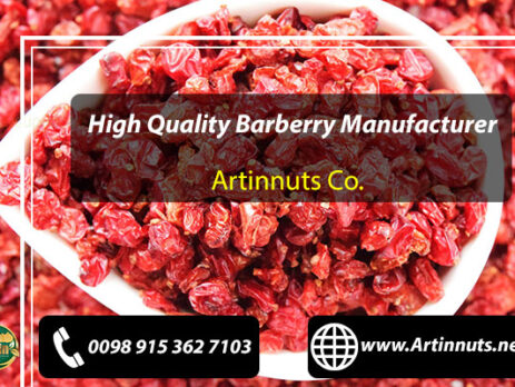Barberry Manufacturer