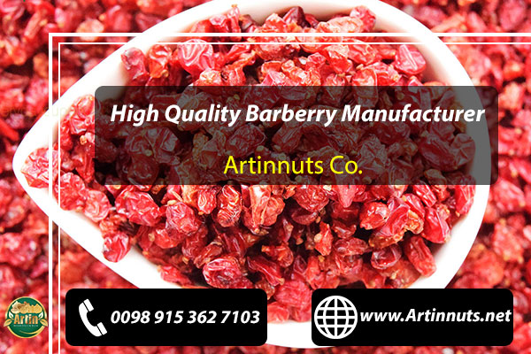 Barberry Manufacturer