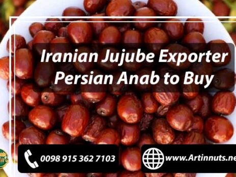 Iranian Jujube Exporter