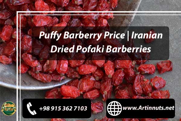 Puffy Barberry Price