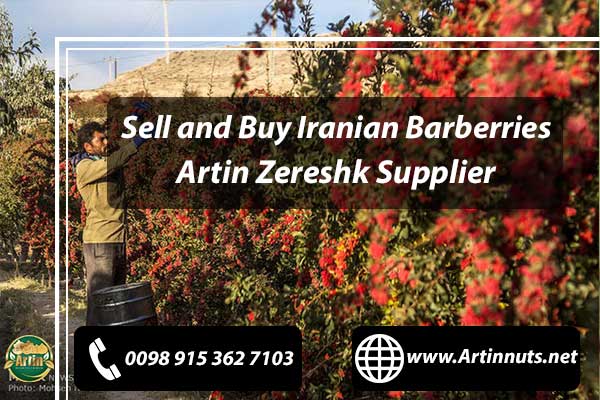 Buy Iranian Barberries