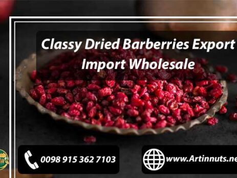 Dried Barberries Export