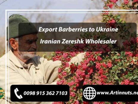 Export Barberries to Ukraine