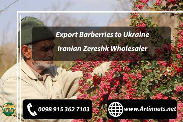 Export Barberries to Ukraine