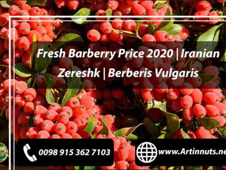 Fresh Barberry Price 2020