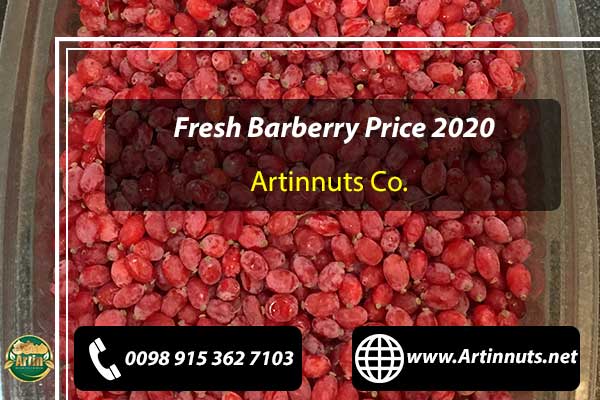 Fresh Barberry Price 2020