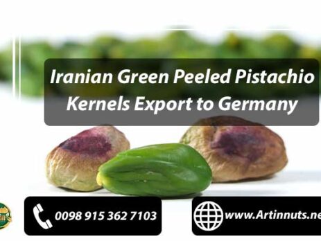 Pistachio Kernels Export to Germany