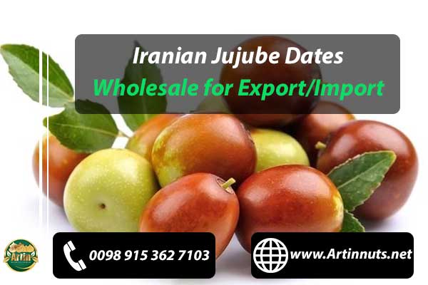 Iranian Jujube Dates