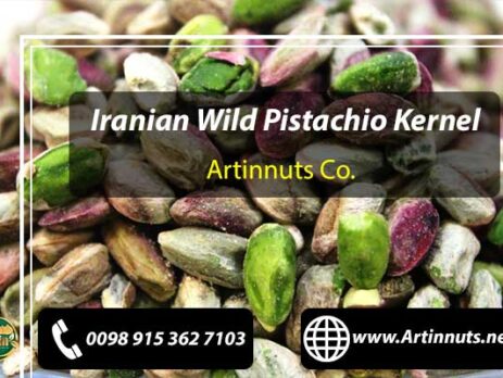 Wild Pistachio Kernel